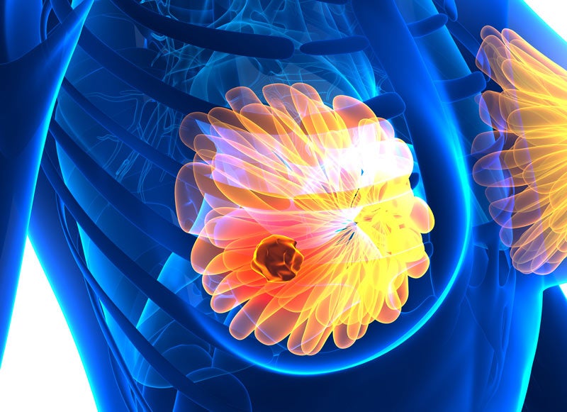 3D rendering of female body