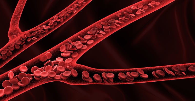Rendering of cells in blood